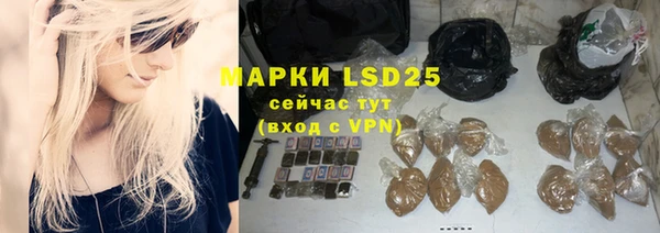 ГАЛЛЮЦИНОГЕННЫЕ ГРИБЫ Алексин