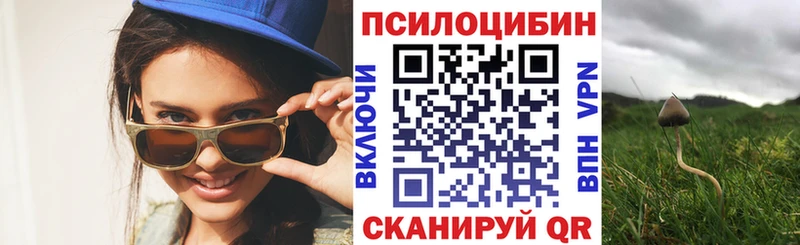 Галлюциногенные грибы мухоморы  mega ссылка  Закаменск  купить наркотики сайты 