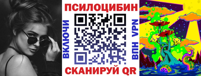 Галлюциногенные грибы Psilocybe Закаменск